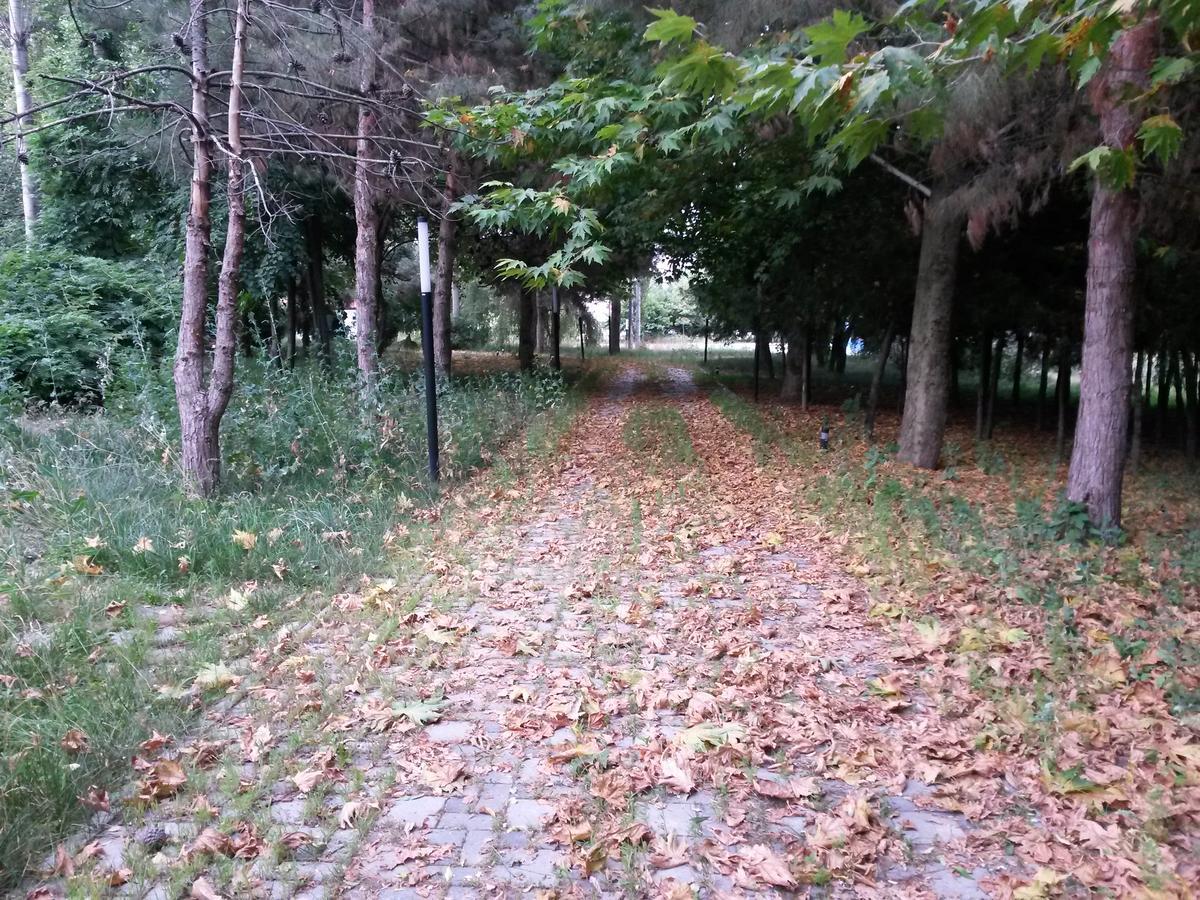 Sheki Olimpiya Hotel & Resort Esterno foto