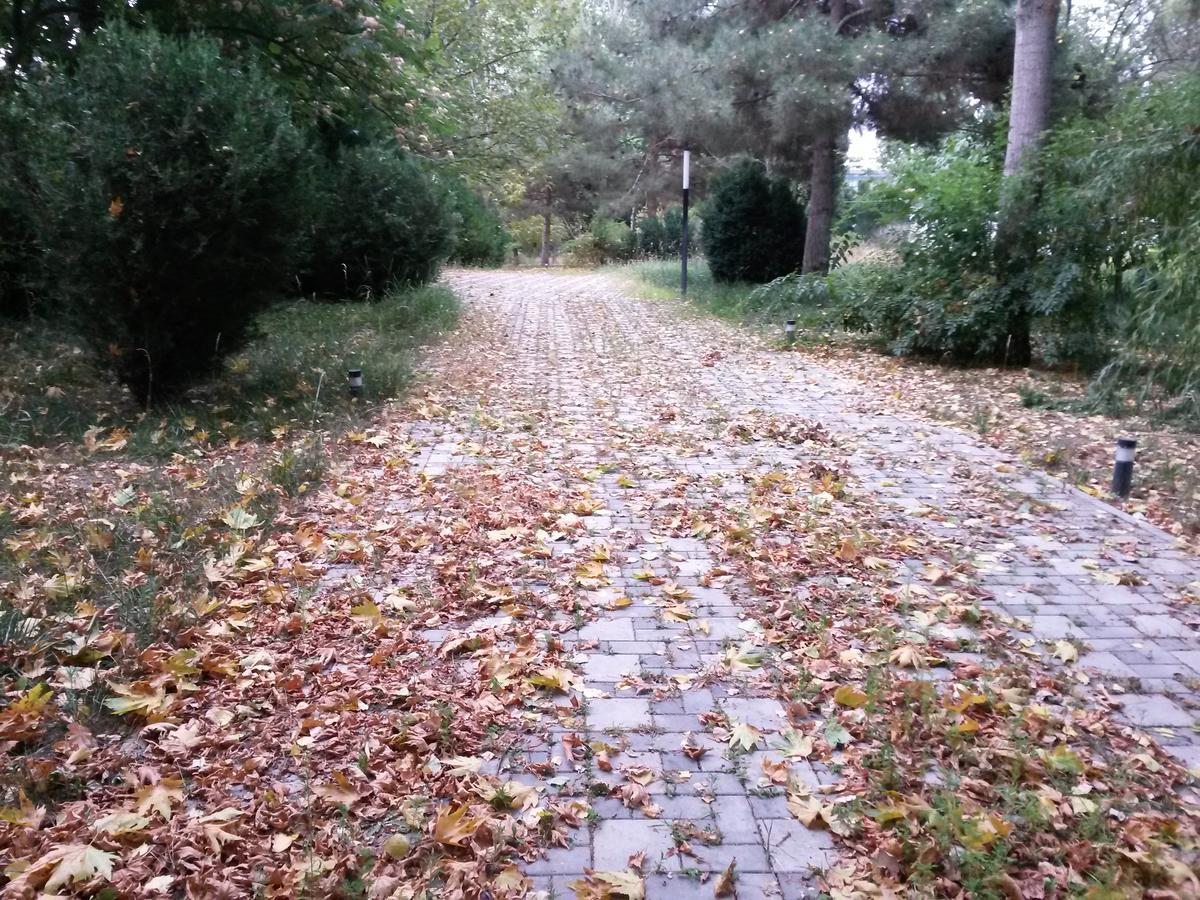 Sheki Olimpiya Hotel & Resort Esterno foto