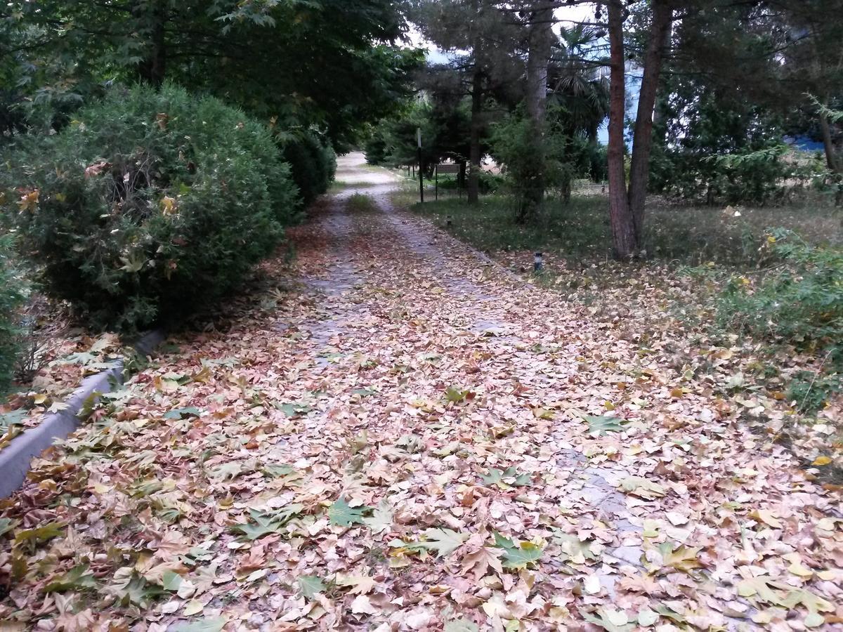 Sheki Olimpiya Hotel & Resort Esterno foto