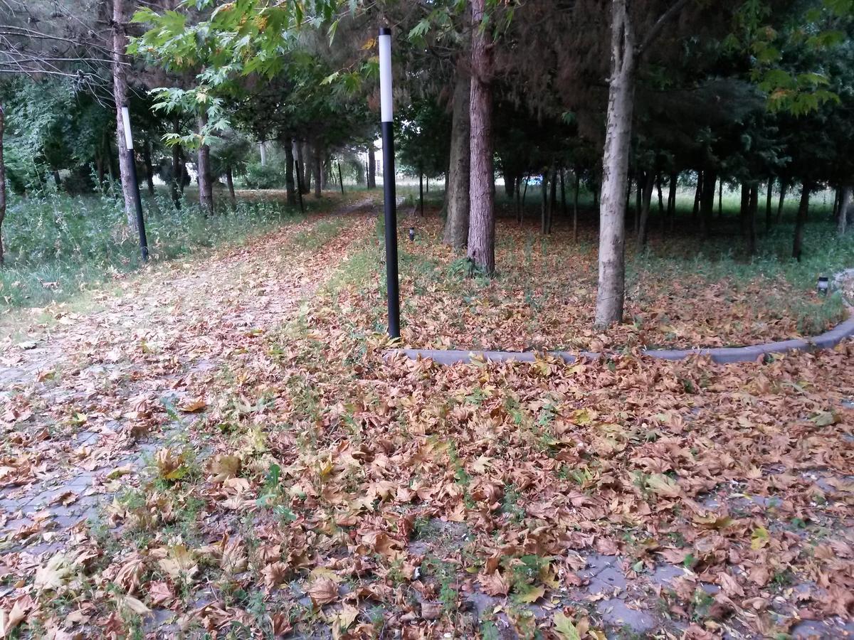 Sheki Olimpiya Hotel & Resort Esterno foto