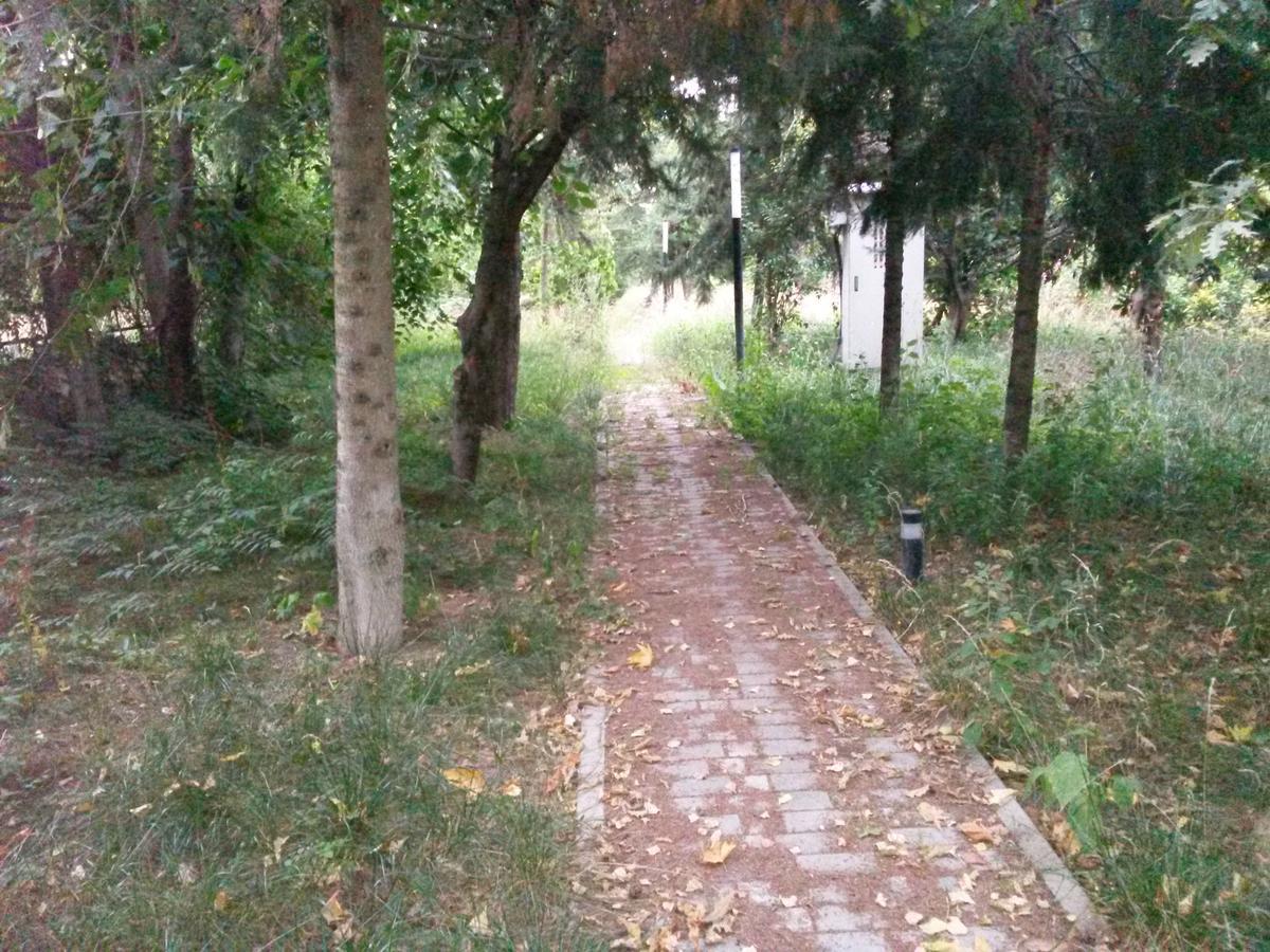 Sheki Olimpiya Hotel & Resort Esterno foto