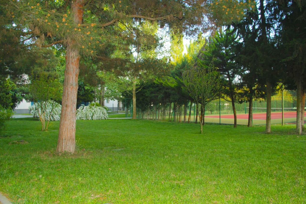 Sheki Olimpiya Hotel & Resort Esterno foto