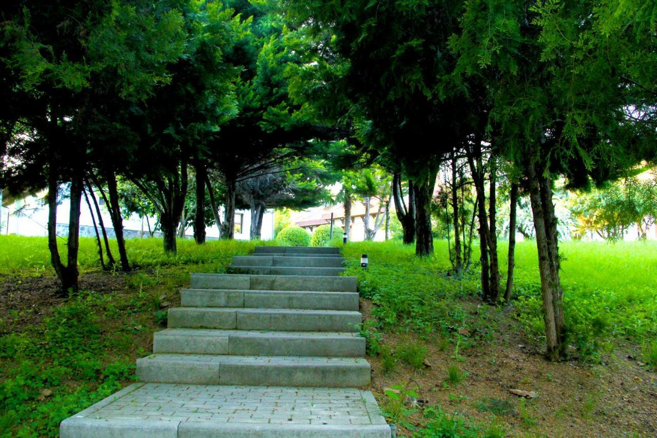 Sheki Olimpiya Hotel & Resort Esterno foto